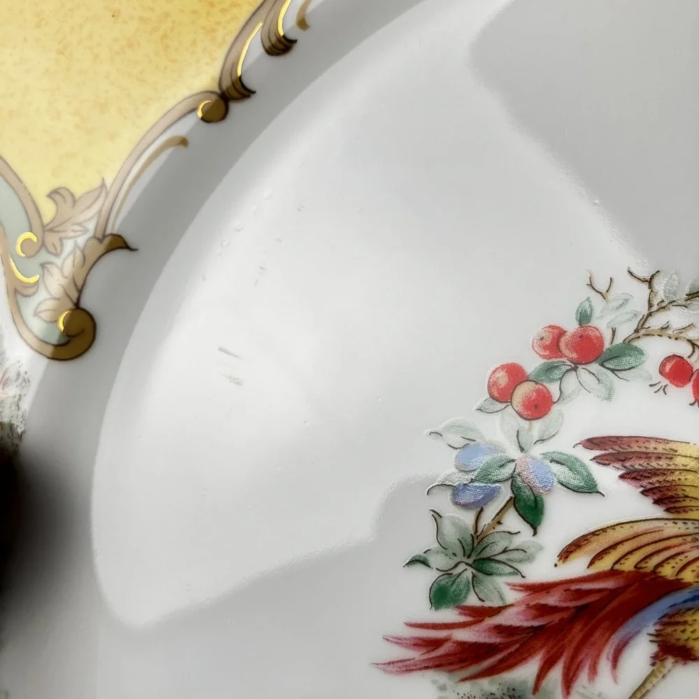 Andrea by Sadek Dinner Plates Newport Kingscote 10.5